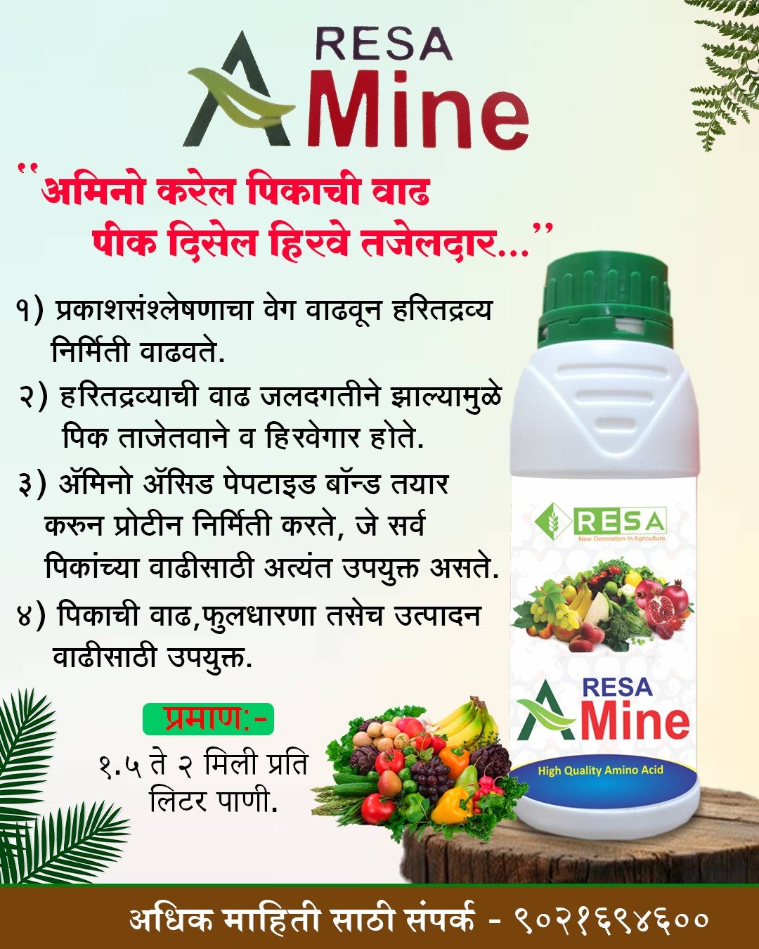 Resa Amine 