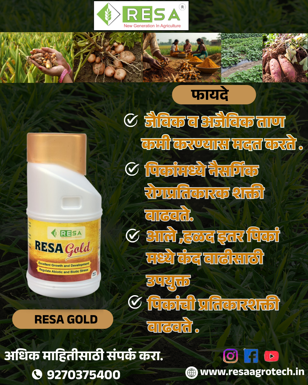 RESA GOLD