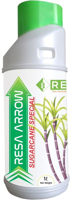 Resa Arrow 