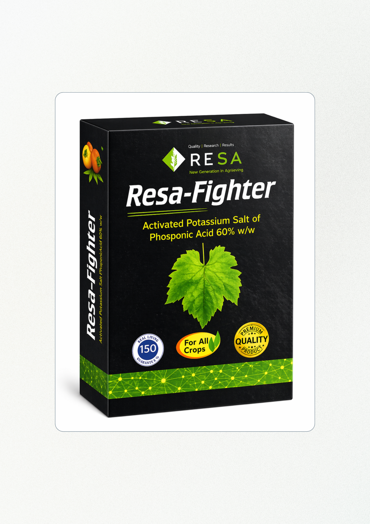 Resa Fighter 