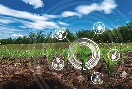 Crop Protection 